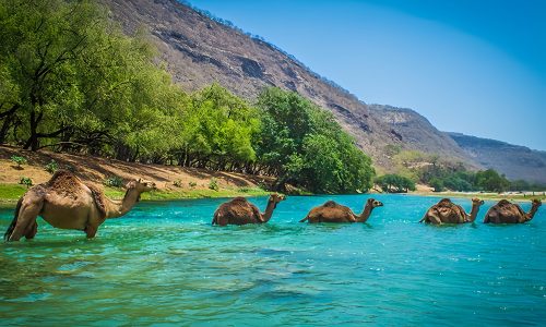 1674052447-1674052447-mdnfbl7xv82e-vmake-vmake گشت و گذار در وادی دربات