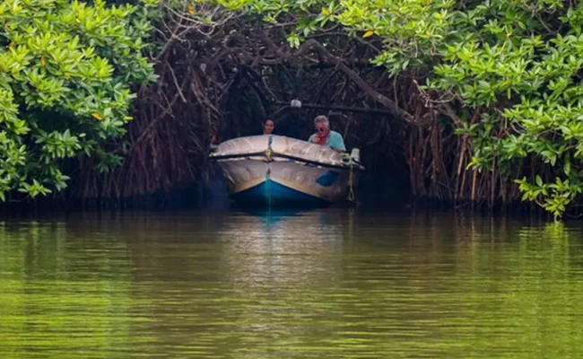 Madu-river-eco-system-madu-river-sfari
